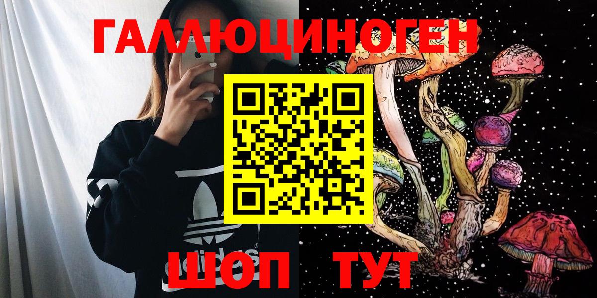 Прохладный  Псилоцибиновые грибы Magic Shrooms  Вход с VPN  Псилоцибиновые грибы MAGIC MUSHROOMS 