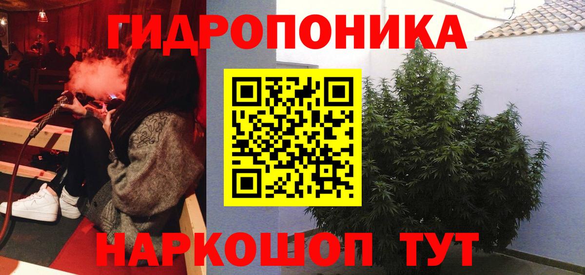 Бошки марихуана план Прохладный